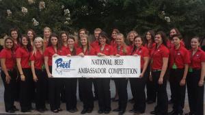 National Beef Ambassador Competition 2013 2014
