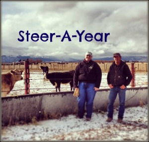 Montana State Steer-A-Year Dusty Hahn
