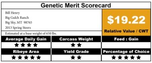 montana verified beef genetic merit scorecard