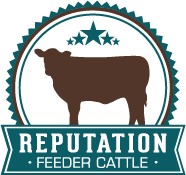 montana verified beef reputation feeder cattle