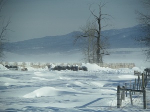 Montana winter snow