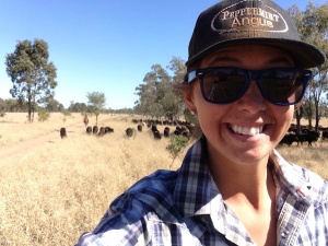 Kelsey in the lead of 500 weaner calves to trail across the river.