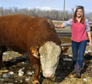 Lauren Chase visiting the Storey Hereford Ranch in Bozeman, Montana. 