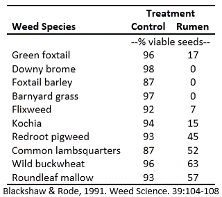 Seed Viability Chart